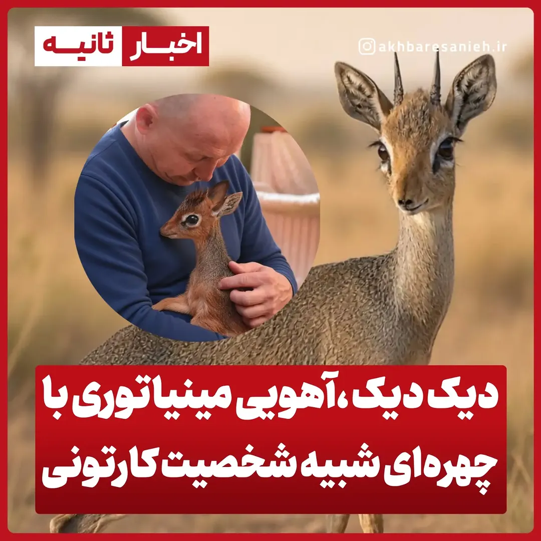 پست اینستاگرام Db-ZTghMBtB