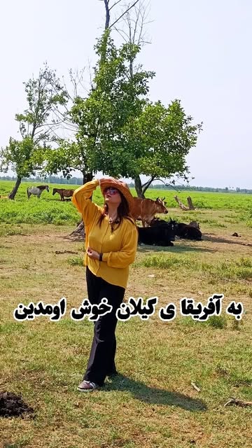 پست اینستاگرام Db-eKu_shJn
