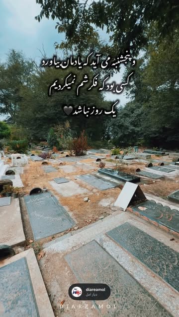 پست اینستاگرام Db-zofFKYTq