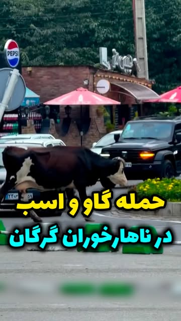 پست اینستاگرام Db0B-QOO4vs