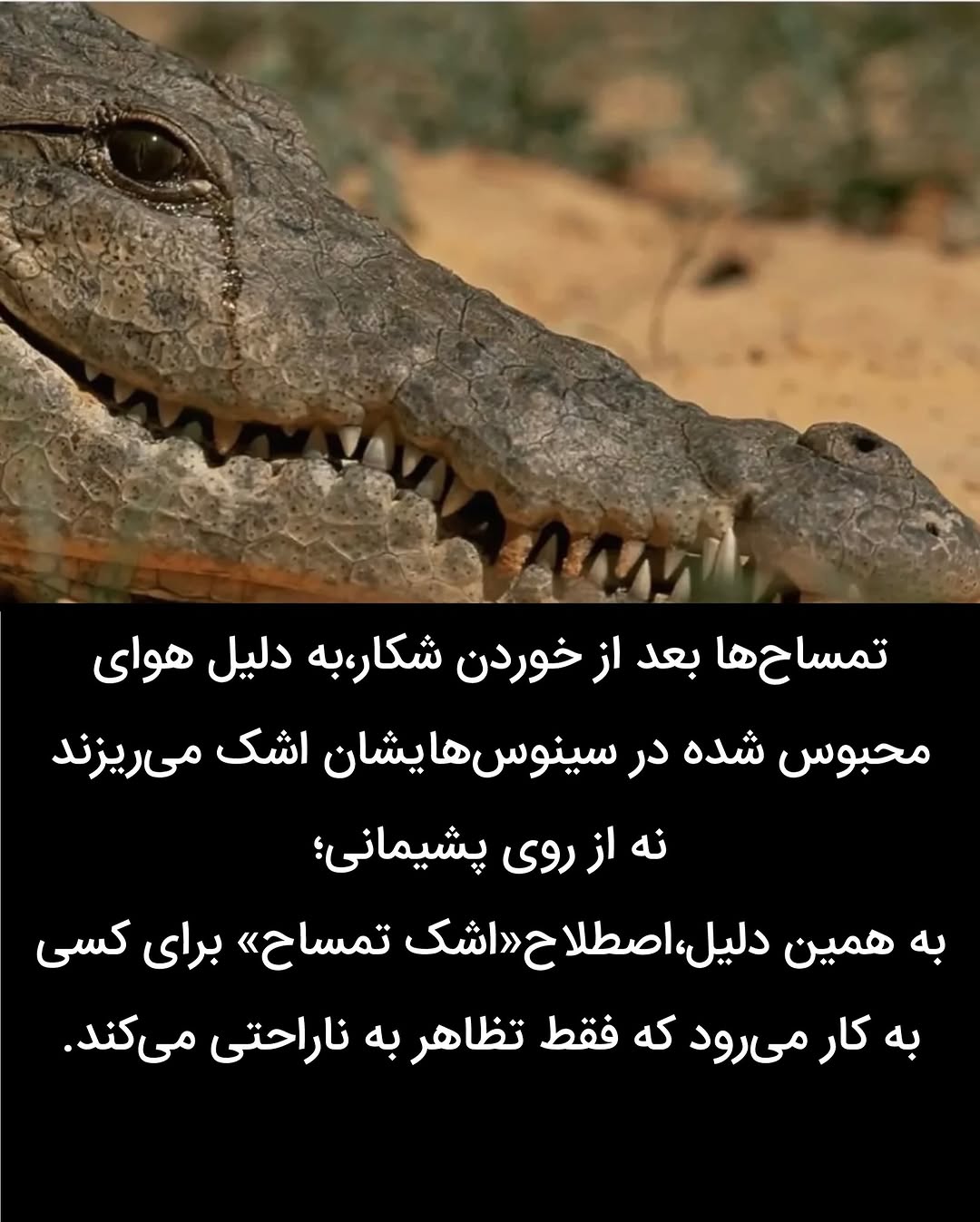 پست اینستاگرام Db0MsCHHOaz