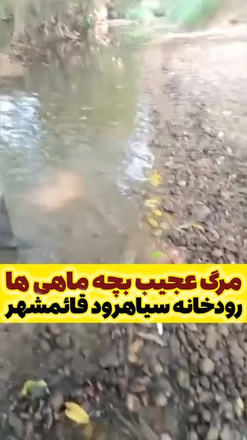 پست اینستاگرام Db20fT-sqB4