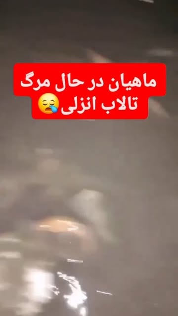 پست اینستاگرام Db2VMArNXa4
