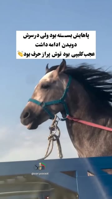 پست اینستاگرام Db2mOEBOXR-