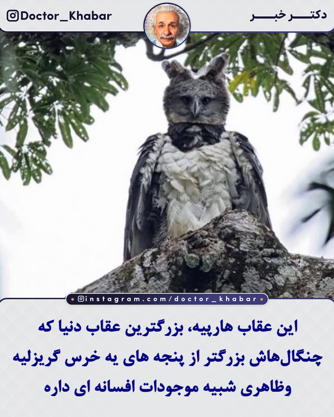 پست اینستاگرام Db2mltGlwaP