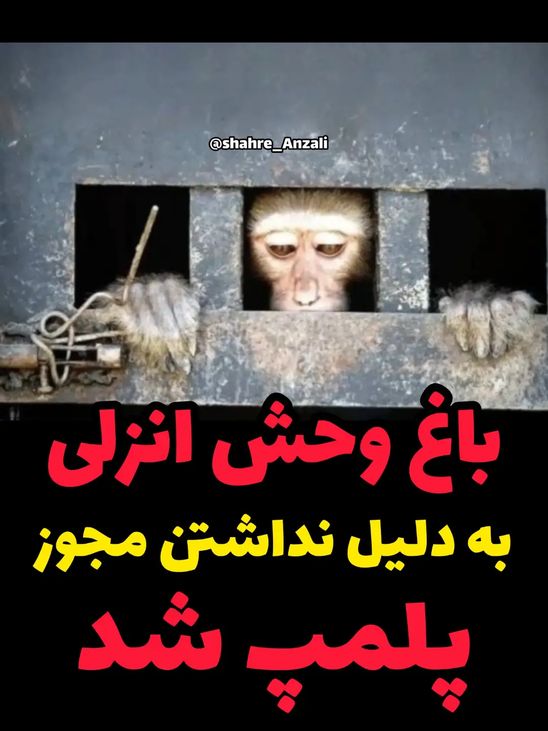 پست اینستاگرام Db3FK_Uqa_k