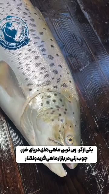 پست اینستاگرام Db3dtF8s0mo