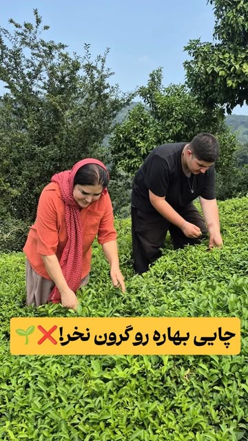 پست اینستاگرام Db3gF3yg14D