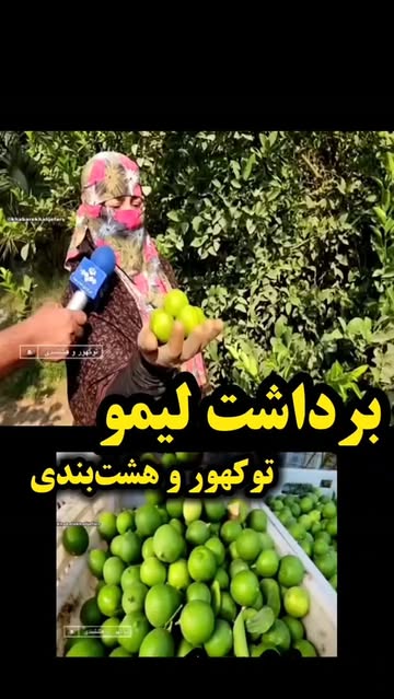 پست اینستاگرام Db3u5TpqMqY