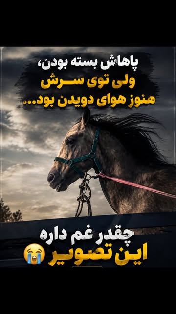 پست اینستاگرام Db4_ZsIOsYG
