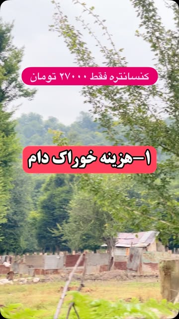 پست اینستاگرام Db56zqDC5yT