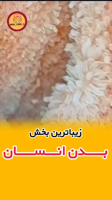پست اینستاگرام Db5KCQBsSwF
