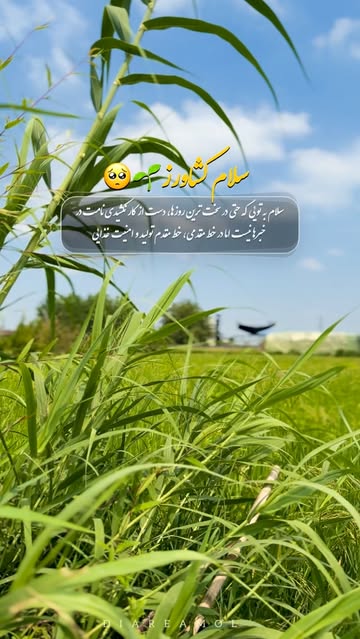 پست اینستاگرام Db5N74qOla3
