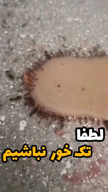 پست اینستاگرام Db5TBQYOMSm