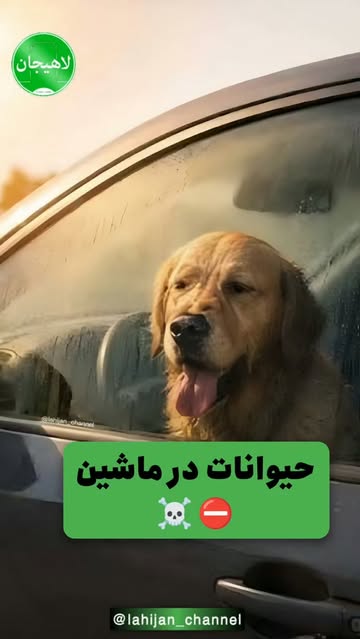 پست اینستاگرام Db5kKYBMeJH