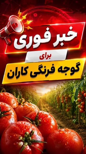 پست اینستاگرام Db5woQTAiHw