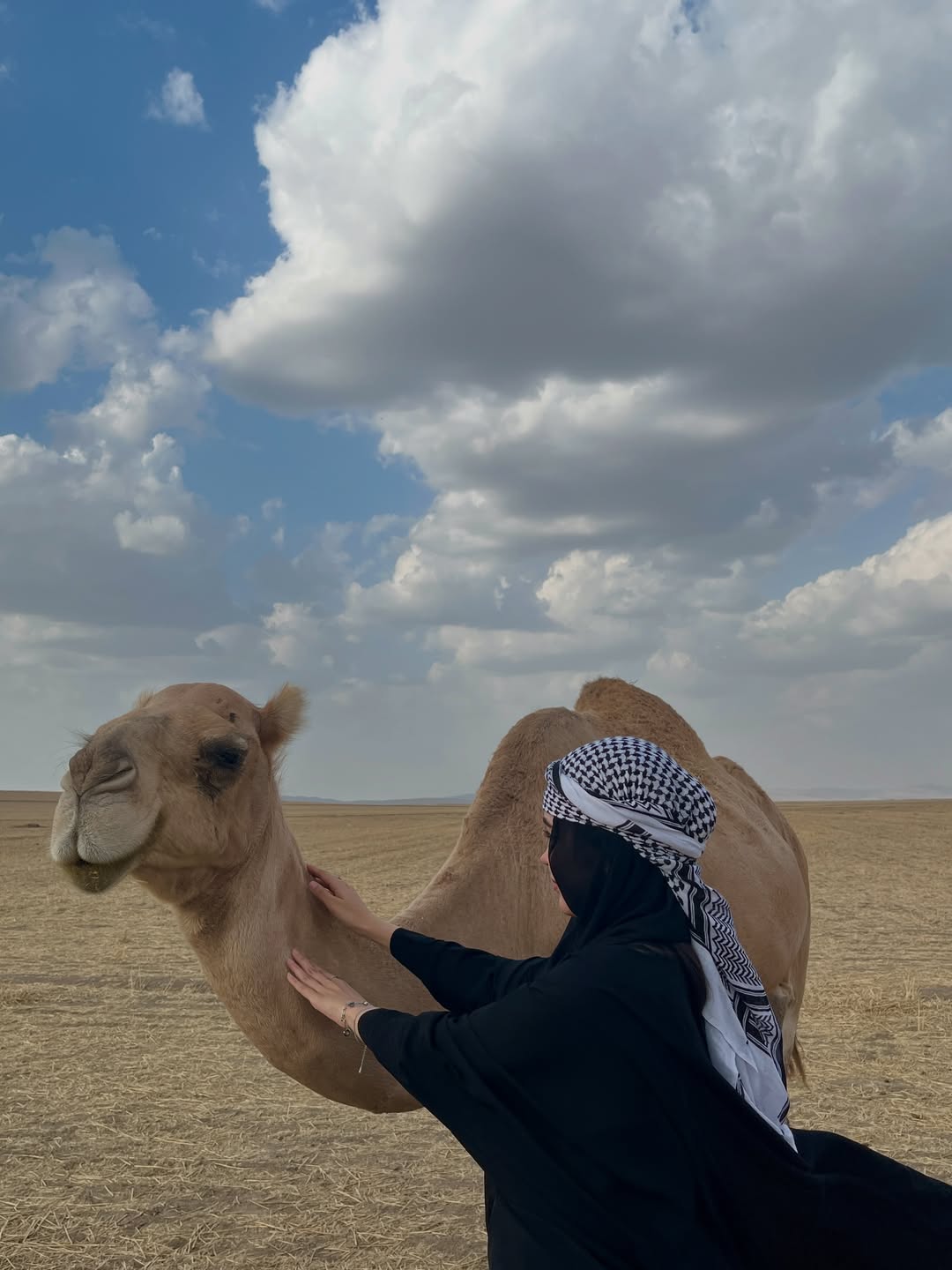پست اینستاگرام Db6Fk03Dfhl