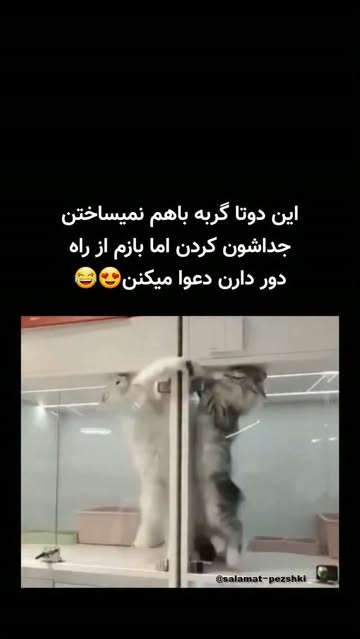 پست اینستاگرام Db6JMYZsEov