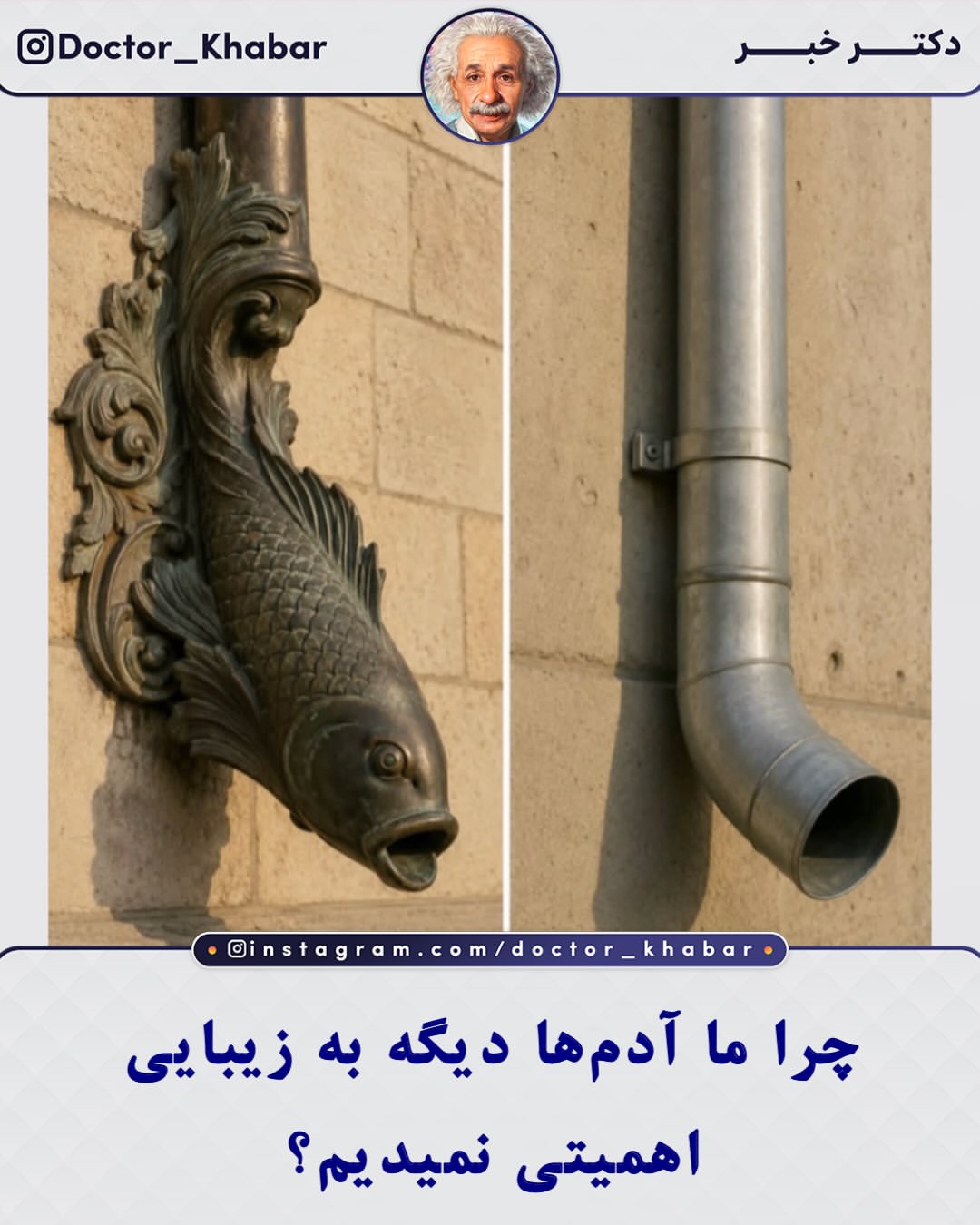 پست اینستاگرام Db8BqRFl6ku