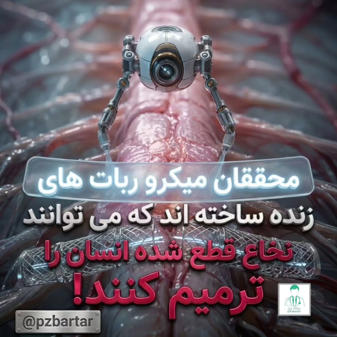 پست اینستاگرام Db8TeTHsRHm
