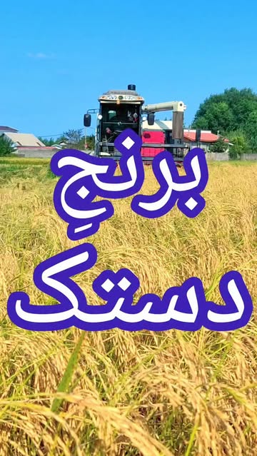 پست اینستاگرام Db8n8BmsOk2