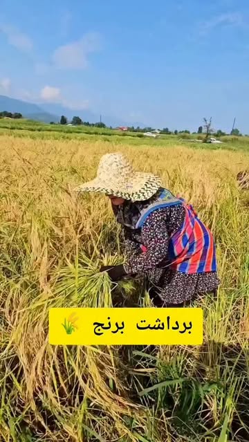 پست اینستاگرام Db8vhHeRriE
