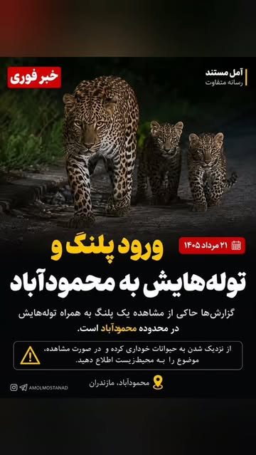 پست اینستاگرام Db9-D1Csbdb