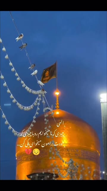 پست اینستاگرام Db98u_8KlT_