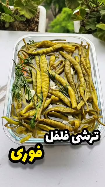 پست اینستاگرام DbAdCk3sCYi