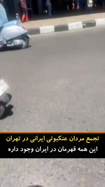 پست اینستاگرام DbAvQLNIkr0
