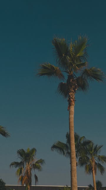 Instagram post DbBINsisArA