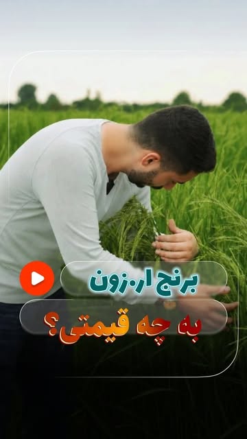 پست اینستاگرام DbD9--2qMLX