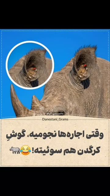 پست اینستاگرام DbEavJjs9qm