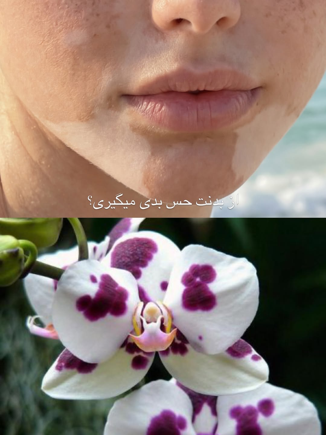 پست اینستاگرام DbI99OkldXu