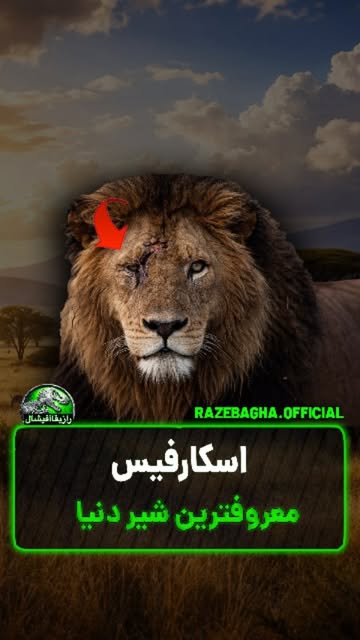 پست اینستاگرام DbOVGCeiqXg