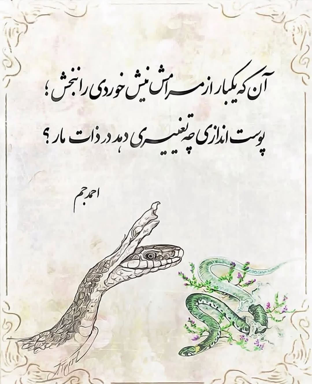 پست اینستاگرام DbOj1bYxFmL