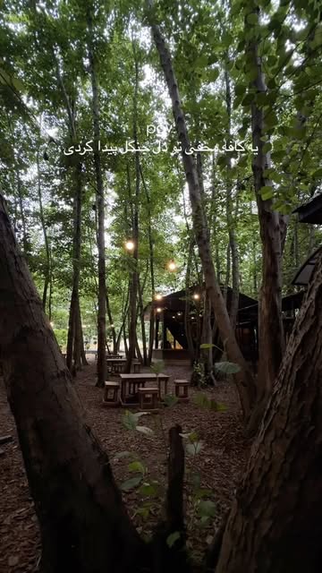 پست اینستاگرام DbQx-0AiTEg