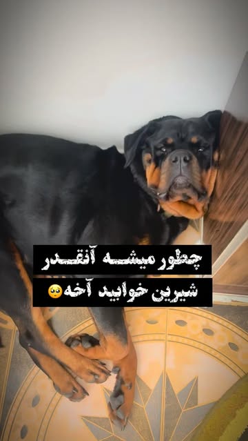 پست اینستاگرام DbRRGwnqXX_