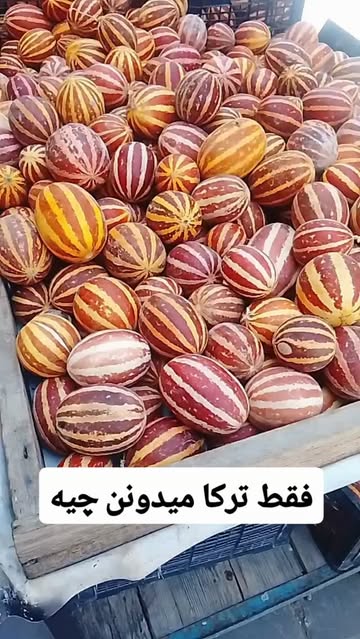 پست اینستاگرام DbSikwXIRbo