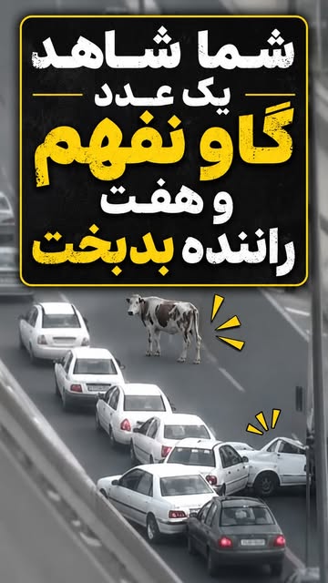 پست اینستاگرام DbVRw7wR9kE