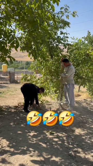 پست اینستاگرام DbWKXPXs2X7