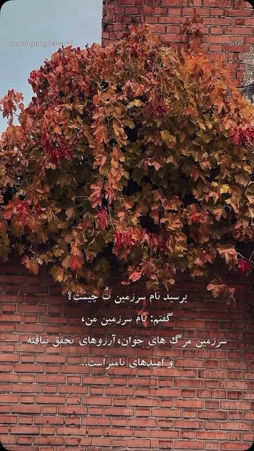 پست اینستاگرام DbXyXF7sy6A
