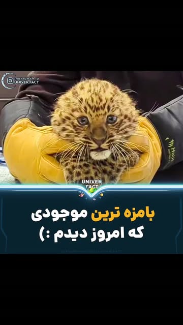پست اینستاگرام Db_P12Duq-S