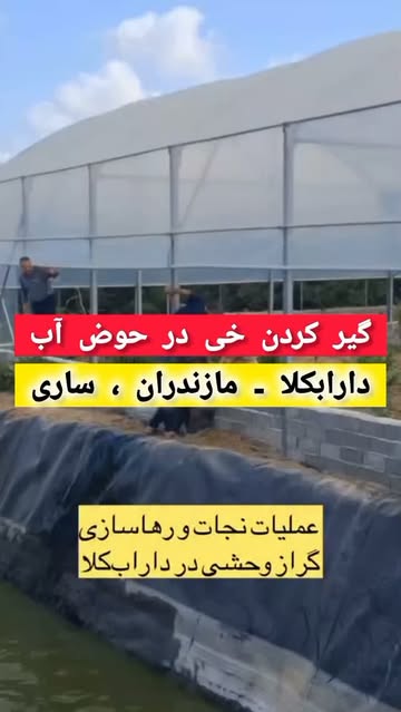 پست اینستاگرام Db_RcSkBOVf