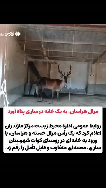 پست اینستاگرام Db_V1veN4uO