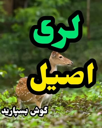 پست اینستاگرام Db_bEB0xOEs