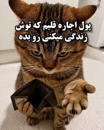 پست اینستاگرام Dba8vdwoiPT