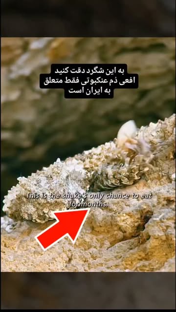 پست اینستاگرام DbaMU-hoK-I