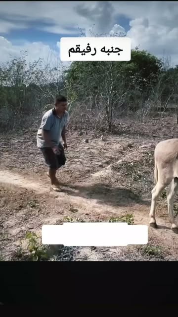 پست اینستاگرام DbbOFpNobNX