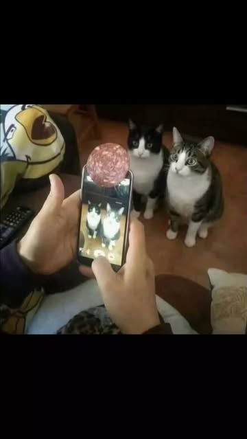 پست اینستاگرام DbbfcSZMrzC